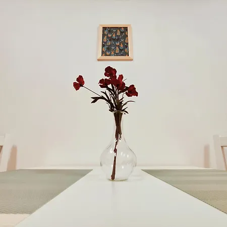Casa Suiza Appartement *